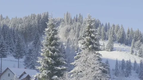 Beautiful motion panning footage of amazing and scenic landscape view of winter Stock Footage 221910153