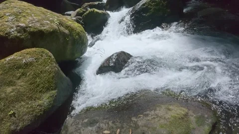 Beautiful Motion of Water Surface in Natural Environment Stock Footage 336864464