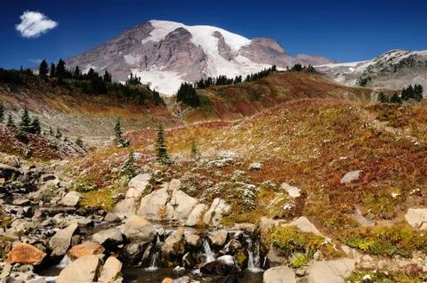 Beautiful mount rainier Stock Photos