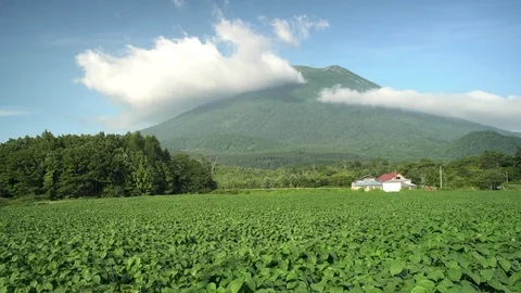 The beautiful Mount Yotei with vegtable farm Stock Footage