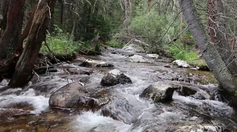 Beautiful Mountain Creek in the Forest Stock Footage