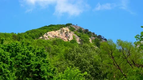 Beautiful mountain in the forest Stock Footage 133657953