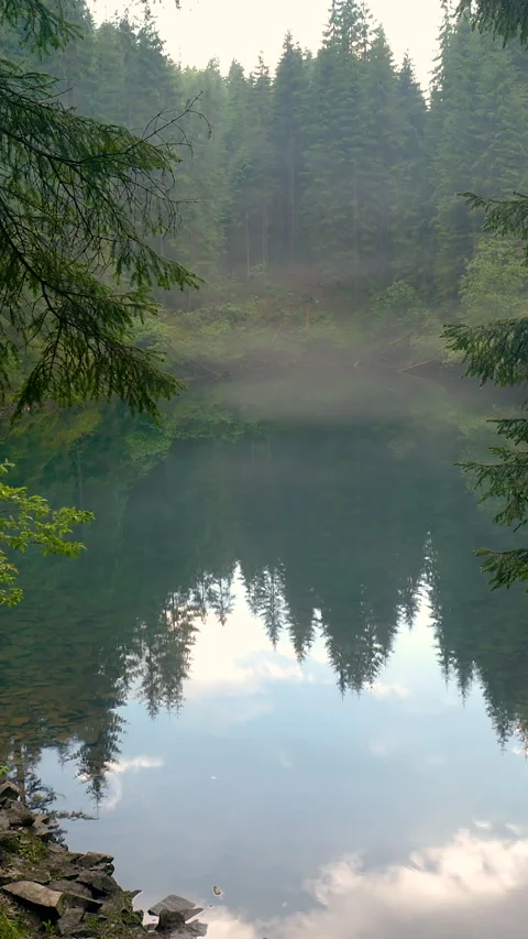 Beautiful mountain lake in the forest Stock Footage 336432567