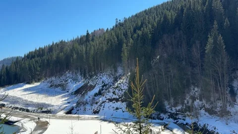 Beautiful mountain lake surrounded by pine forest in winter Stock Footage 309481337