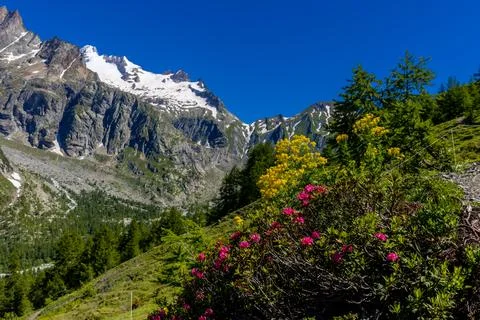 Beautiful mountain landscape of the Alps in summer Stock Photos