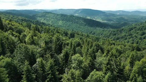 Beautiful mountain landscape, copter flight over forested mountain area Stock Footage 283027953