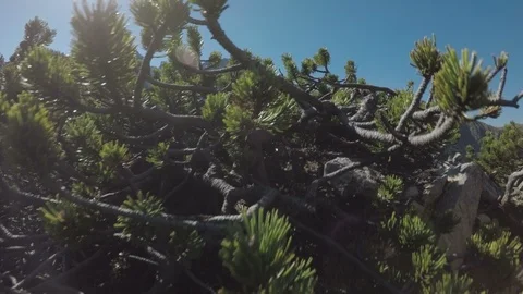 Beautiful Mountain Landscape Stock Footage 95435869