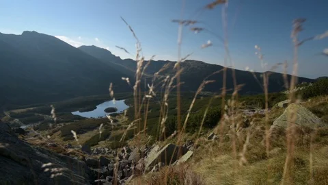 Beautiful Mountain Landscape. Stock Footage 95488839