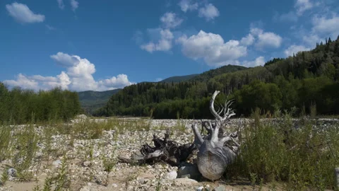 Beautiful mountain landscape 스톡 동영상 211961996