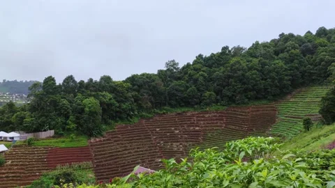 Beautiful mountain landscape of Mon Jam, Chiang Mai, Thailand. Nature concept Stock Footage 138188036