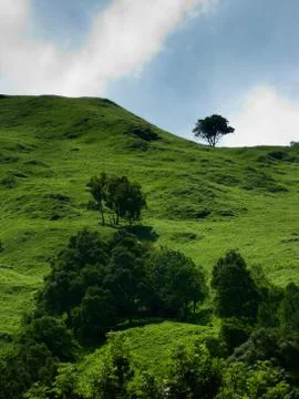 Beautiful mountain landscape Foto stock