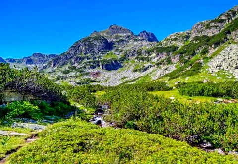 Beautiful mountain landscape Stock Photos