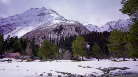 Beautiful mountain landscape with pine trees Stock Footage 260884785