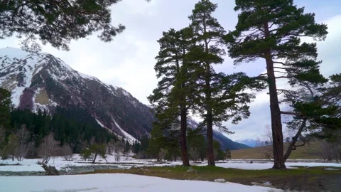 Beautiful mountain landscape with pine trees Stock Footage 260884888