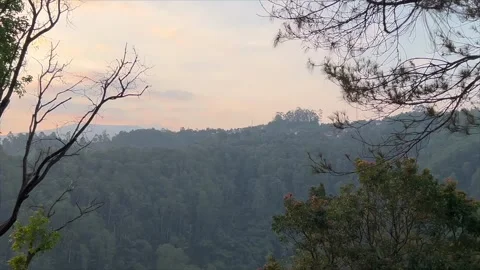 Beautiful mountain landscape with pine trees during sunset or sunrise. Stock Footage 332367037