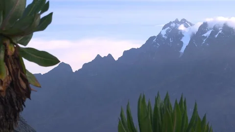 Beautiful mountain landscape with plants in foreground Stock Footage 119342053