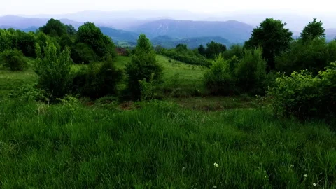 Beautiful mountain landscape in summer Vídeo Stock 138016359