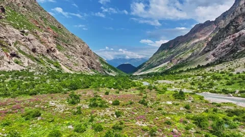 Beautiful mountain landscape in summer Stock Footage 259642416