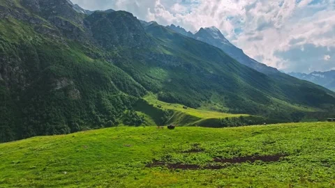 Beautiful mountain landscape in summer Video stock 259642993