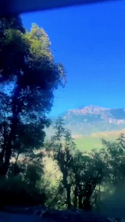 Beautiful mountain landscape with trees and clear blue sky Video stock 327049341