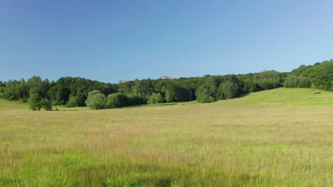 Beautiful mountain meadow Vidéo 269050230