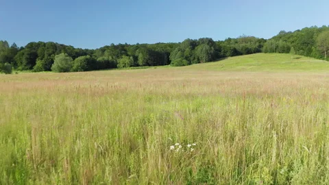 Beautiful mountain meadow  Stock Footage 269051139