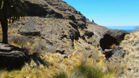 Beautiful mountain with palm tree Stock Footage 148678525