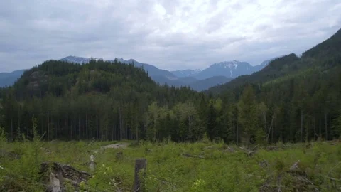 Beautiful mountain panoramic view in Canada, BC. Vidéo 82444421