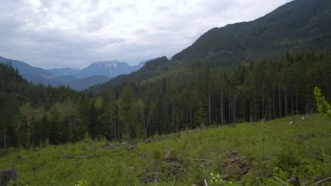 Beautiful mountain panoramic view in Canada, BC. Stock Footage 82444526