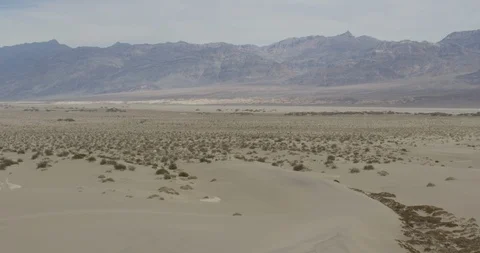 Beautiful mountain range and green bushes in desert on a sunny day Stock Footage 107617557
