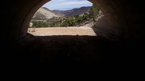 Beautiful mountain range and trees on a sunny day 動画素材 73628681