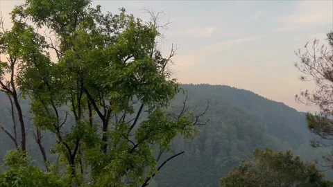 Beautiful mountain range with lush green forest under sunset sky Video stock 332368181