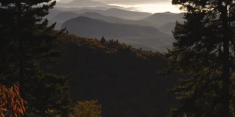 Beautiful mountain ranges seen through two pine trees at sunset Stock Footage 103400985