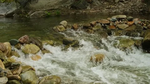Beautiful mountain river and forest landscape. Stock Footage 308530252
