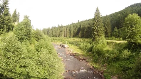 Beautiful mountain river in the coniferous mountain forest, remains of the dam Stock Footage 45388250