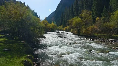 Beautiful mountain river during fall season. Nature of Kyrgyzstan 스톡 동영상 249628830