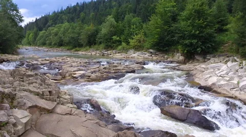 Beautiful Mountain river flowing through the green forest Stock Footage 65513175