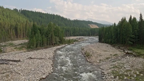 Beautiful mountain river in the forest against the background of mountains 4k Stock Footage 124826811