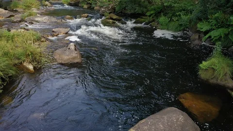 Beautiful mountain river in the forest  Stock Footage 113093748