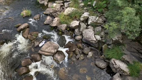 Beautiful mountain river in the forest Stock Footage 114311527