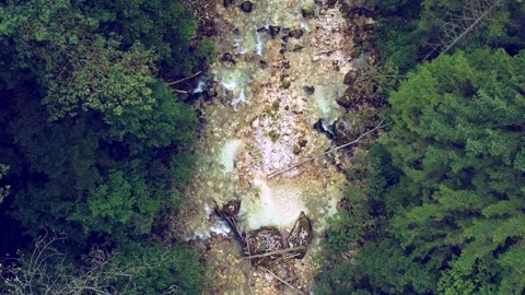 Beautiful mountain river in the forest Video stock 218472237