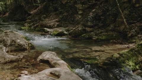 Beautiful mountain river landscape. Camera following water stream Stock Footage 115801790