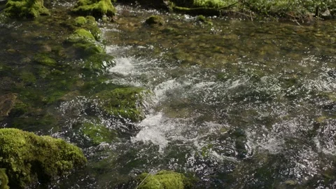 A beautiful mountain river with moss covered stones Stock-Footage 341602937