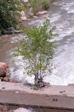 Beautiful mountain river Stock Photos