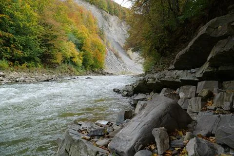 Beautiful mountain river with rapid current. Prut river and mountain folds 스톡 사진