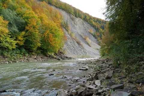 Beautiful mountain river with rapid current. Prut river and mountain folds 库存照片
