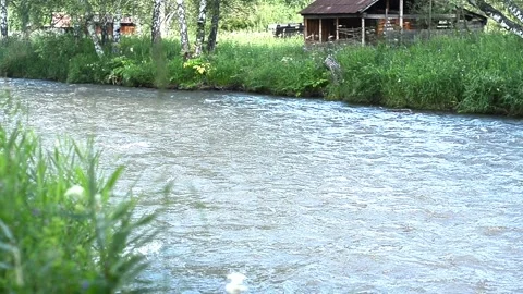 Beautiful mountain river, stream, flowing through the stones Video stock 129707544