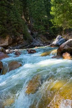 Beautiful mountain river with strong current, foam and water splashes. Beautiful Foto stock