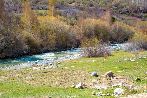Beautiful mountain river with strong current, foam and water splashes. Beautiful Stock Photos