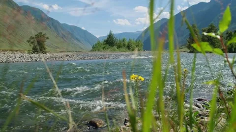 Beautiful mountain river valley in sunlight. Stock Footage 297039710